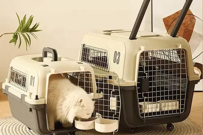 Pets shipped separately